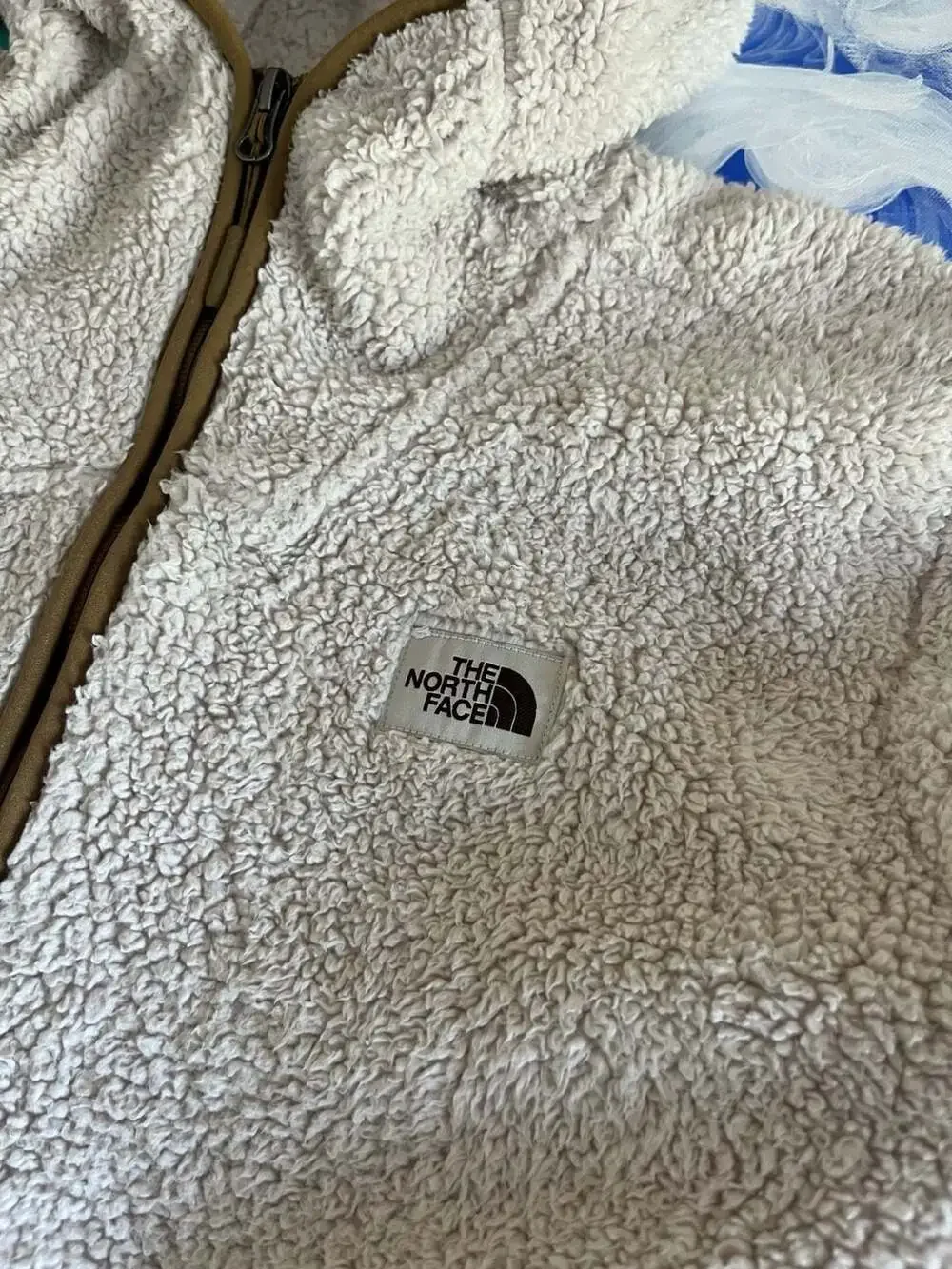 The North Face Men's Campshire Sherpa Fleece Pullover Hoodie